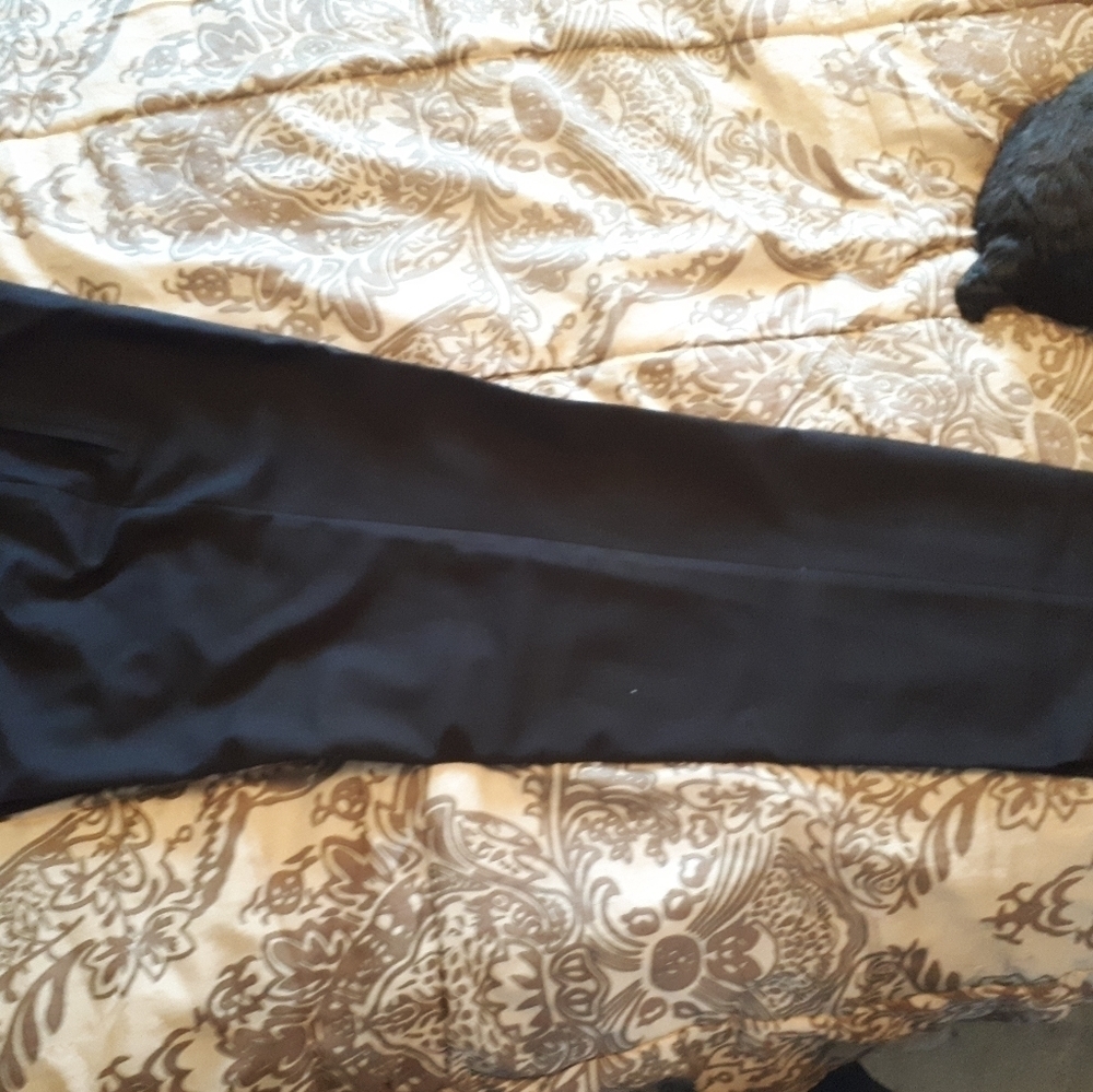 Pure //slacks/B1 - Picture 3 of 8
